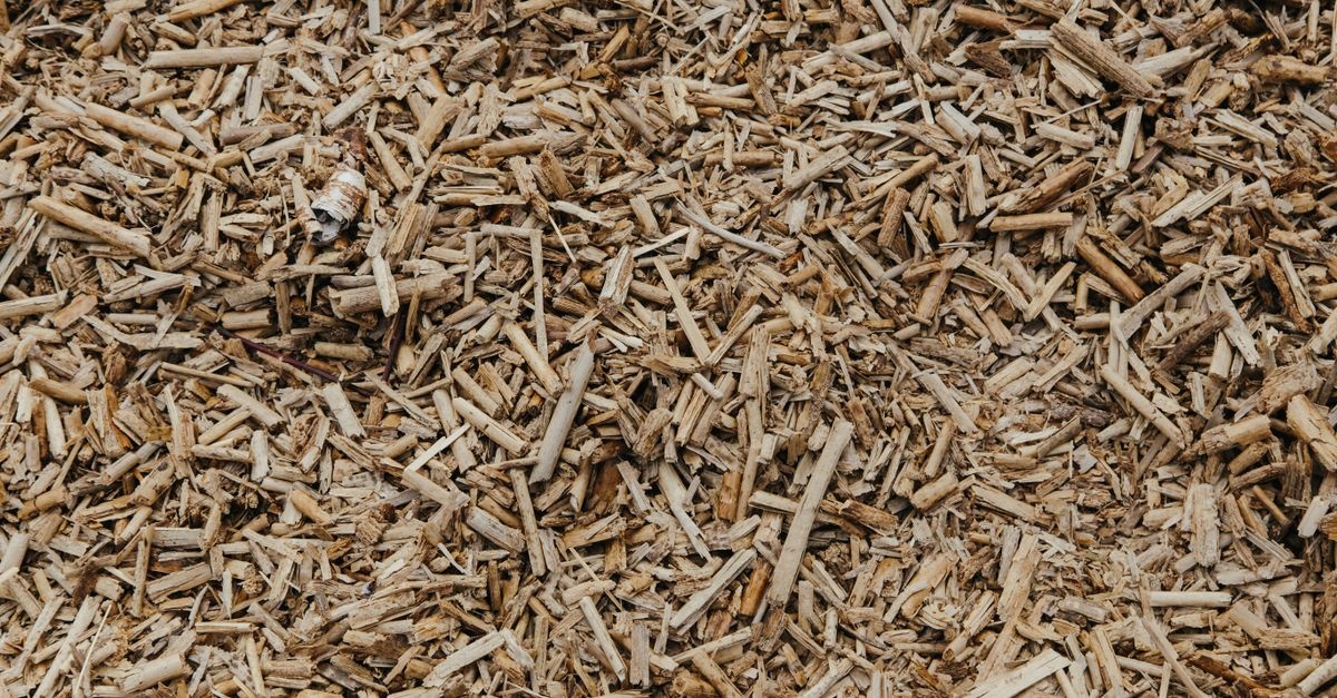 Mineralischen Mulch richtig nutzen: So verwandeln Sie Ihren Garten in eine pflegeleichte Wohlfühloase