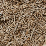 Mineralischen Mulch richtig nutzen: So verwandeln Sie Ihren Garten in eine pflegeleichte Wohlfühloase