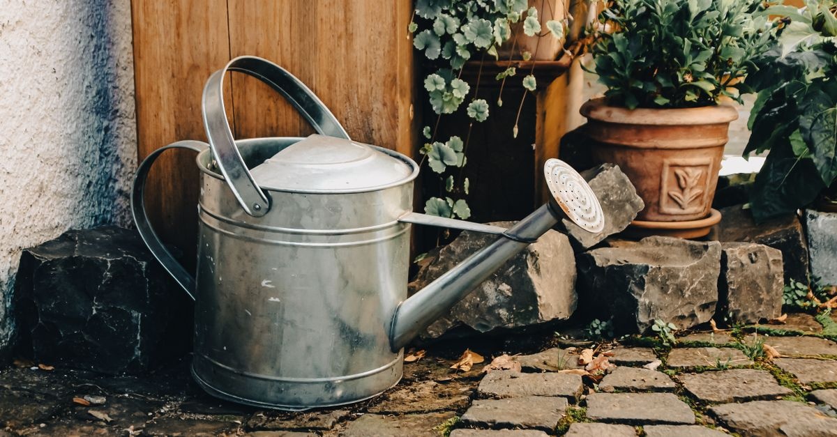Wassersparenden Garten planen: So wird dein grünes Paradies nachhaltig und pflegeleicht